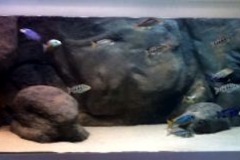 1050-Liter Sandzone-Aquarium