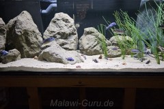 1056 Liter Sand-Ufer Zone