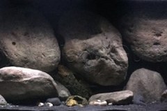 1078-Liter-Sandzone-Nonmbuna-20