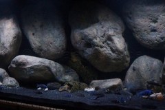 1078-Liter-Sandzone-Nonmbuna-24