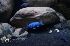 1078-Liter-Sandzone-Nonmbuna-30