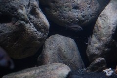 DSC09834