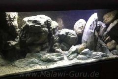 1080-Liter-Mbuna-32