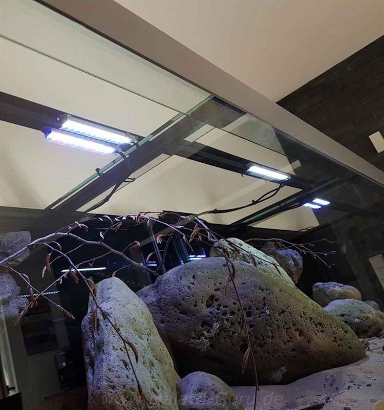 Mbuna-1080-Liter-13