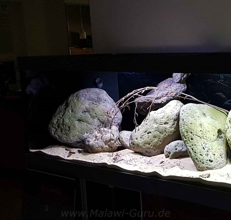 Mbuna-1080-Liter-6