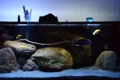 Nonmbuna-Becken-1200-Liter-200