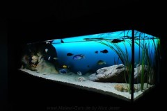 1200-Liter-Sandzone-Aquarium
