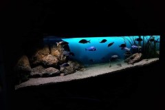 1200-Liter-Nonmbuna-Sandzone-100