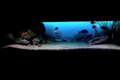 1200-Liter-Nonmbuna-Sandzone-103