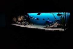 1200-Liter-Nonmbuna-Sandzone-104