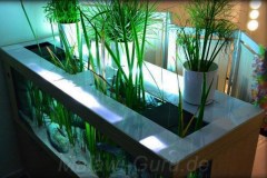 1280 Liter Malawisee Aquarium