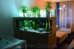 1280-Liter-Sand-Uferzone-Aquarium