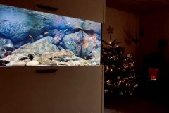 1344-Liter-Mbuna-Uebergangszone-606
