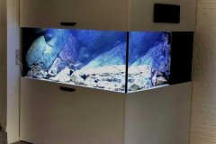 1344-Liter-Mbuna-Uebergangszone-607