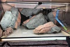 1344-Liter-Mbuna-Uebergangszone-623