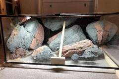 1344-Liter-Mbuna-Uebergangszone-624