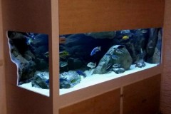1368-Liter-Übergangszone-Aquarium