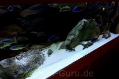 Nonmbuna-Raeuber-1368-Liter-405
