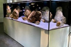1456-Liter-Übergangszone-Aquarium