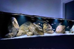 1456-Liter-Nonmbuna-71