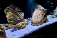 1456-Liter-Nonmbuna-77