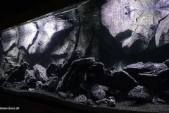 1470-Liter-Mbuna-Felszone-Aquarium