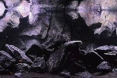 1470-Liter-Mbuna-Becken-Felszone-300