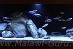 1680-Liter-Übergangszone-Aquarium