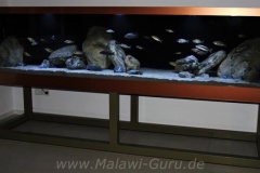 1680-Liter-Nonmbuna-101