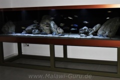 1680-Liter-Nonmbuna-103