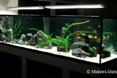 2118-Liter-leichte Übergangszone-Aquarium