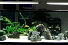 Raumteiler-Mix-Becken-2118-Liter-11