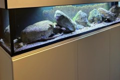 Mbuna-Aufzuchtbecken, 220 Liter
