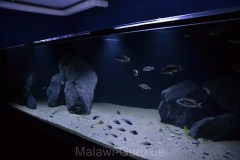 2880-Liter-Sandzone-Aquarium