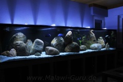 2900 Liter Nonmbuna Aquarium