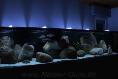 2900-Liter-Übergangszone-Aquarium
