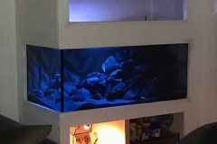 300-Liter-Mbuna-Becken-101