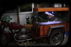 Mbuna-Motorrad-300-Liter-800