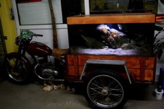Mbuna-Motorrad-300-Liter-804