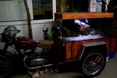 Mbuna-Motorrad-300-Liter-805