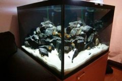 320-Liter-Fels/Übergangszone-Würfel-Aquarium