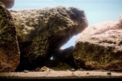 400-Liter-Mbuna-Uebergangszone-10