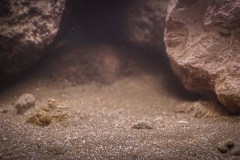 400-Liter-Mbuna-Uebergangszone-13