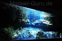 400-Liter-Sand/Übergangszone-Aquarium