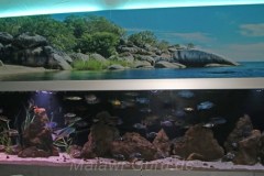 4000 Liter Aquarium
