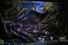430 Liter Nonmbuna Becken