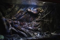 Uebergangszone-Nonmbuna-430-Liter-33
