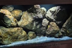 450-Liter-Felszone/Mbuna-Aquarium