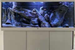450-Liter-Mbuna-Felszone-20