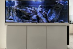 450-Liter-Mbuna-Felszone-24